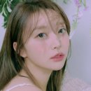 펀치 카카오 검색결과