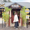 핫헤어스타일 | 제주도 카페 추천 산방산 근처 지브리 감성 핫플레이스 비밀역