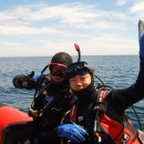 창수네김 이미지