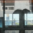 정경화 바이올린 리사이틀 | 정경화리사이틀보는하루