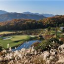 렉스사우나 이미지