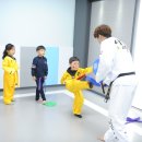 다온키즈태권도장 이미지