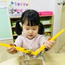 하마인력 이미지