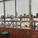 하미토미풀밭 이미지