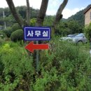닥박골매점