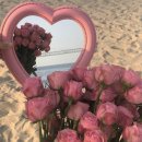 [마인드오버바디 ;트라이얼 키트 6종 후기 ] _자연에서 체취해온 향수🍃💐