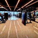 네스트짐 헬스피티 이미지