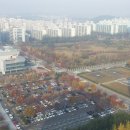 정부대전청사 3동 주차장 Daum카페