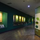 계룡산자연사박물관 이미지