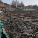 전원 부동산 중개인 사무소 이미지