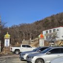 원주곤충마을박물관 이미지