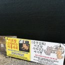 동물보육원 고양이 후원 카페 | 카페] 제주공항 근처 고양이 카페 “미르담”ㅣ내돈내산 후기 (유기묘, 길냥이 후원카페, 분위기 좋은...