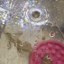 햄스터 분양 햄스터월드 이미지