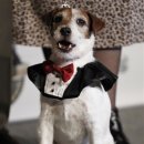 주식회사 무성 이미지