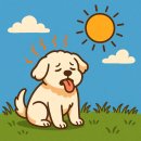 멍멍나래 이미지