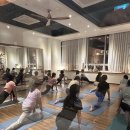 젬마동물병원 이미지