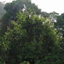 (주)단주 이미지