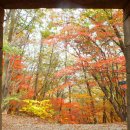 산문주차장화장실 이미지