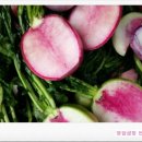 연분홍민박 이미지