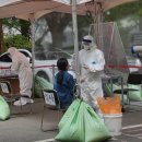 사하구-73 이미지