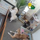 미자민박 이미지