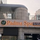푸리테라피 | [역삼 스파] 힐링 그 자체였던 역삼동 '푸리파드마 스파' 아로마테라피 솔직 후기!