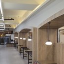 애견백화점 이미지