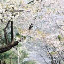 성베드로학교 이미지