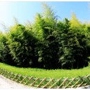 신우의료기 이미지