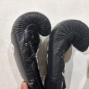 복서가 위닝을 사야하는 이유: 위닝 14온스 레이스타입 후기