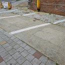 대구보건대 건너 이미지