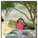 초원유치원 이미지