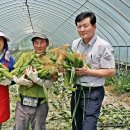 박경자농장 이미지