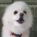 구포지구대 이미지