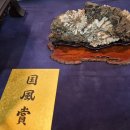 국풍 Daum카페