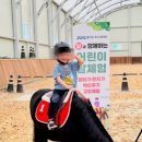 경기도축산진흥센터 | “아이들아, 말 타러 가자!” 경기도 어린이 말 체험 9월 재개...전액 무료!!