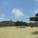 그린목장 이미지