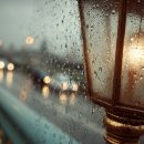 [시민제안강좌] 자동차 운전자라면 꼭 알아야 할 대처법 | 2025년 장마 기간은 언제부터? 지역별 일정과 안전하게 대처하는 법