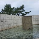 포항시북구11 | [포항 북구 바다뷰 카페] 어디 가노?