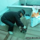 장덕고등학교 Daum카페