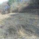 한벌1리 이미지