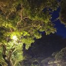 바다빌리지 관광펜션 이미지