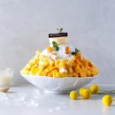술이랑빙수