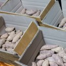 강씨농장 이미지