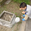 바탕골미술관 이미지