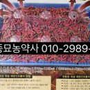 경안종묘농약사 이미지