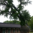 향교슈퍼