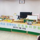 도수초등학교 병설유치원 이미지