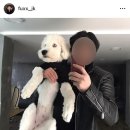 봉자