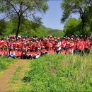평창곤드레축제 Daum카페